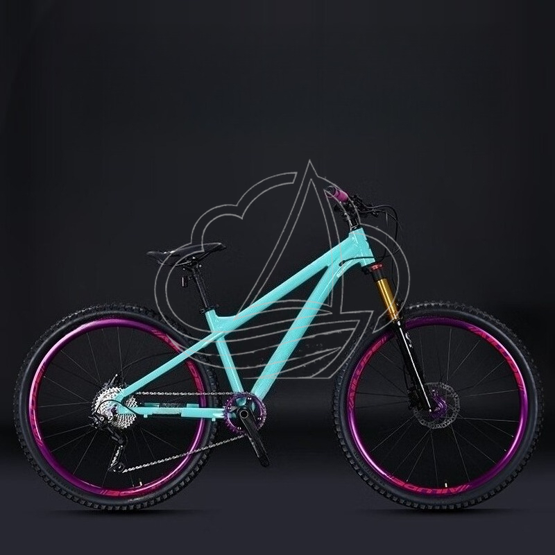 12-speed Aluminum Alloy Mounta - огляд і ціна Mountain Biking Jumps