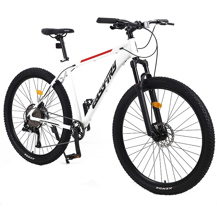 Wholesale 21 Speed Bicicletas  - огляд і ціна Mountain Biking Usa