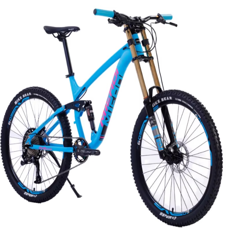 High Quality 24-Inch Dual Disc - огляд і ціна Mountain Biking Usa